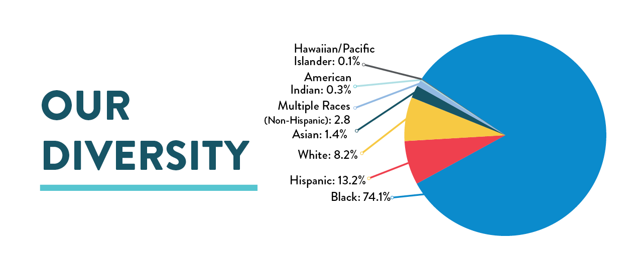 Hawaiian/Pacific Islander: 0.1% American Indian: 0.2% Multiple Races: 1% Asian: 2% White: 7% Hispanic: 7% Black: 82%